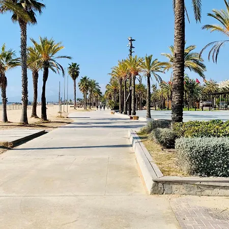 Book Ibiza * Salou